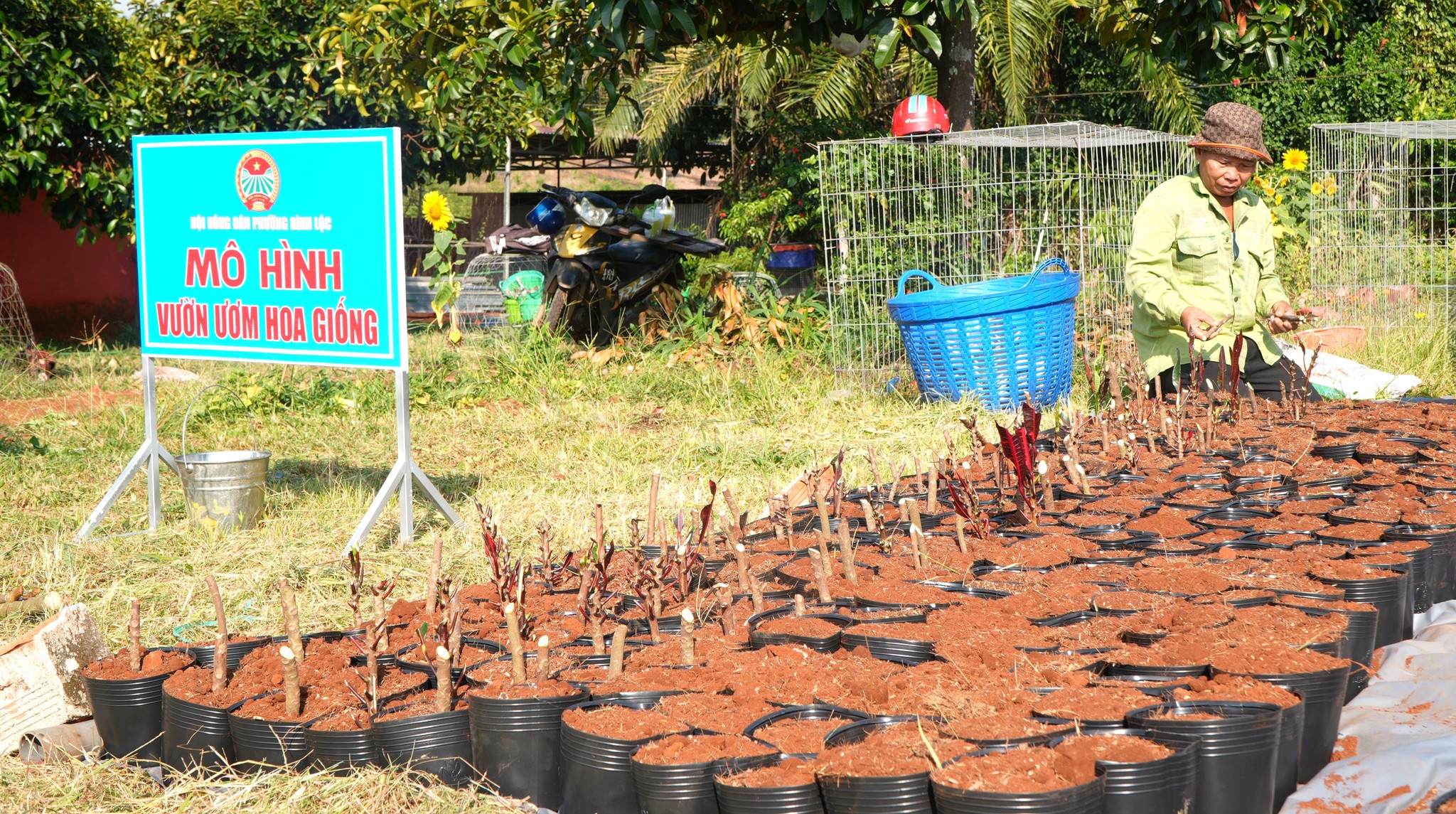 656685498 122167374038925280 965741822810331165 n